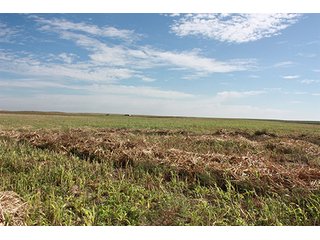 Property photo 80 - LAND AUCTION, 3255+/- Acres offered in 13 Tracts